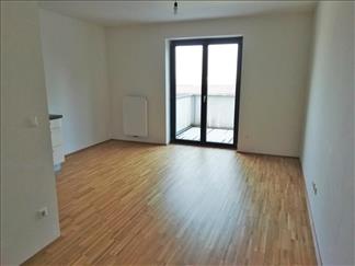 bild13037