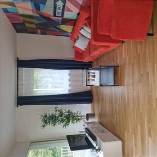 bild17401