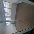 bild17101