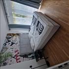 bild17397