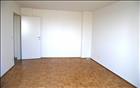 bild17439